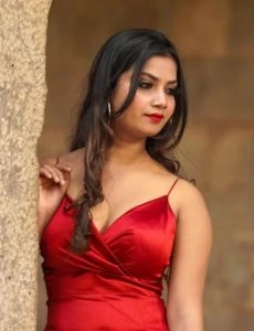 call girl service in Hanuman Nagar